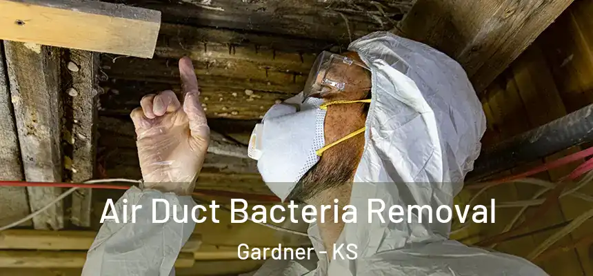 Air Duct Bacteria Removal Gardner - KS