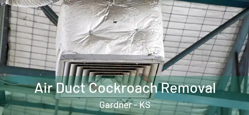 Air Duct Cockroach Removal Gardner - KS