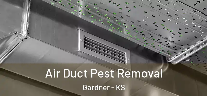Air Duct Pest Removal Gardner - KS