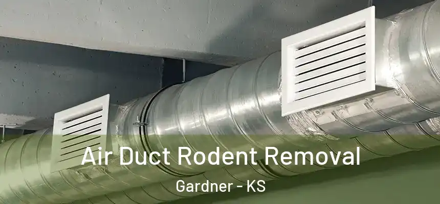 Air Duct Rodent Removal Gardner - KS