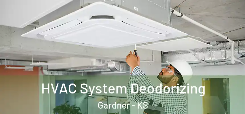  HVAC System Deodorizing Gardner - KS