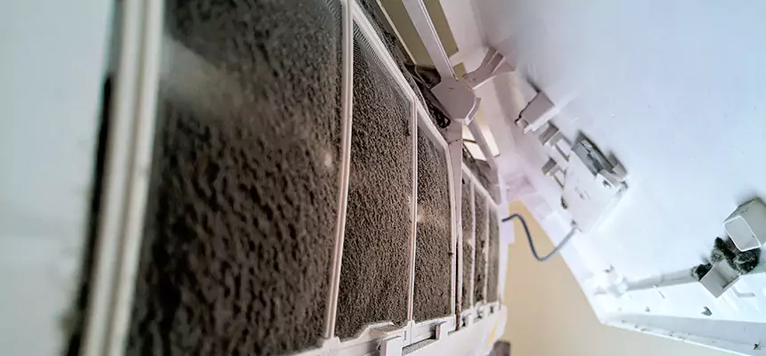 Preventive Air Duct Bacteria Removal in Gardner