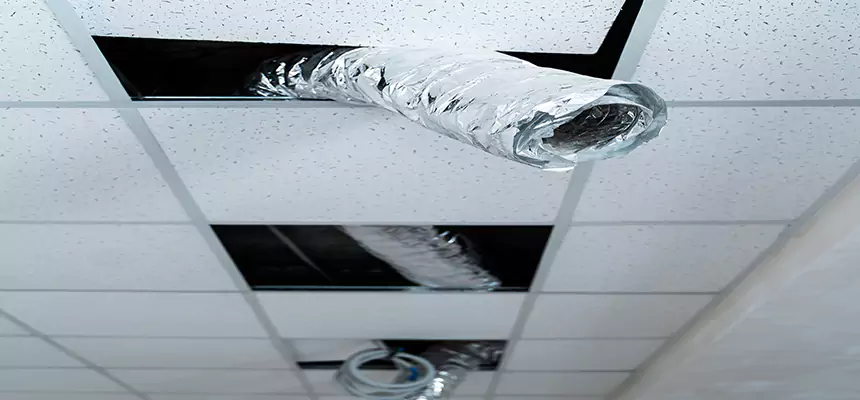 Our Air Duct Pet Hair Removal Services in Gardner, KS