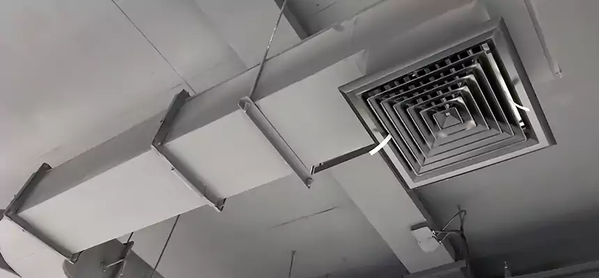 Restorative Allergy Relief Vent Cleaning – Coil, Blower & Housing Detail in Gardner