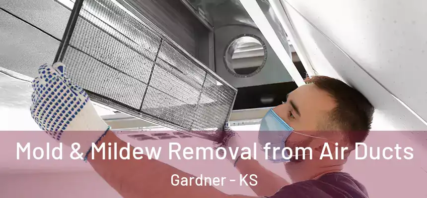 Mold & Mildew Removal from Air Ducts Gardner - KS