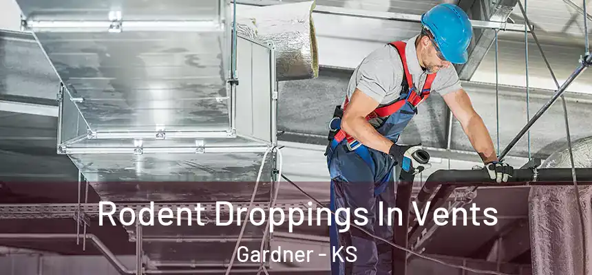 Rodent Droppings In Vents Gardner - KS