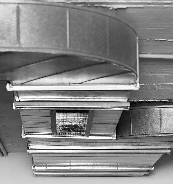 Professional Air Duct Pet Hair Removal in Gardner, KS