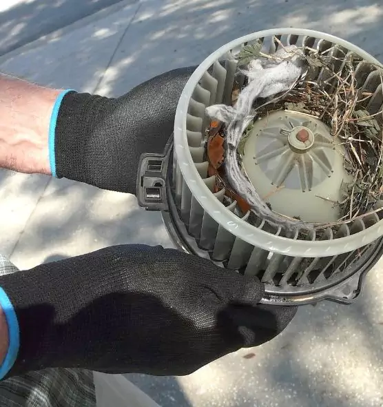 About Air Duct Rat Removal in Gardner, KS